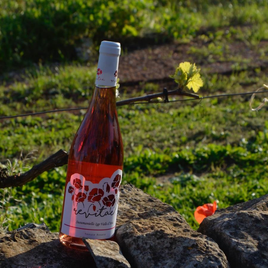 Susumaniello Rosato IGP Valle d'Itria 2024